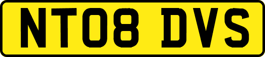 NT08DVS