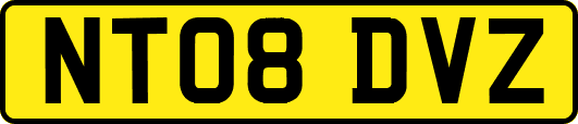 NT08DVZ