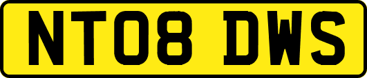 NT08DWS