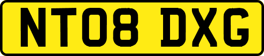 NT08DXG