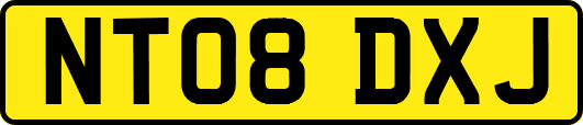 NT08DXJ