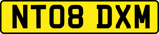 NT08DXM