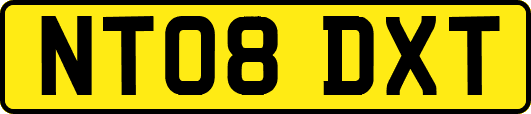 NT08DXT