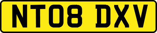 NT08DXV