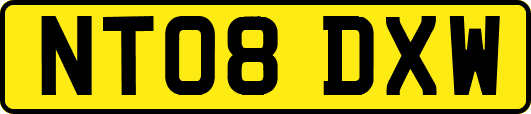 NT08DXW
