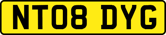 NT08DYG