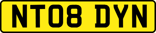 NT08DYN