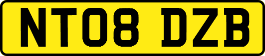 NT08DZB