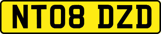 NT08DZD