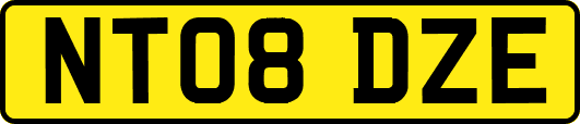 NT08DZE
