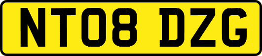 NT08DZG