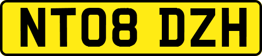 NT08DZH