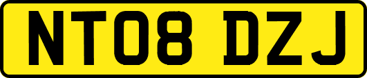 NT08DZJ