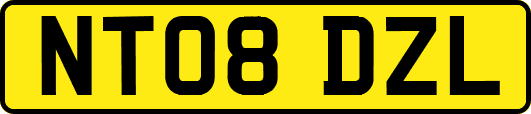 NT08DZL