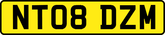 NT08DZM