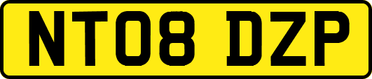NT08DZP