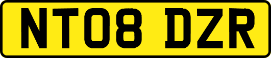 NT08DZR