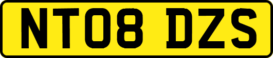 NT08DZS