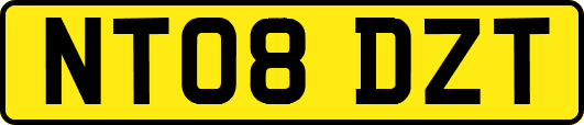 NT08DZT