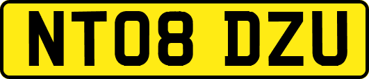 NT08DZU