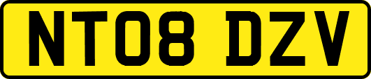 NT08DZV