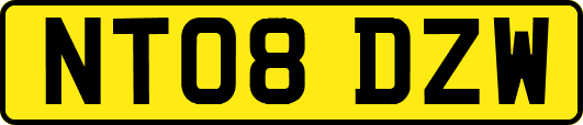 NT08DZW