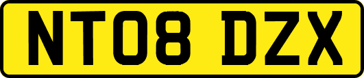 NT08DZX