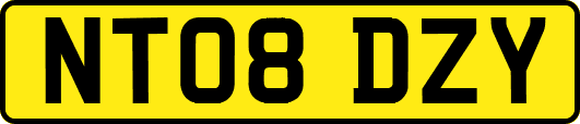 NT08DZY