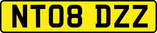 NT08DZZ