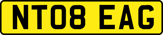 NT08EAG