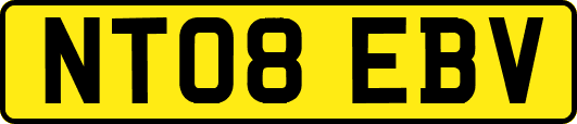 NT08EBV