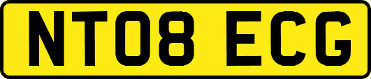 NT08ECG