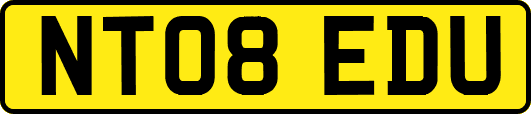NT08EDU
