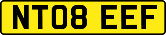 NT08EEF