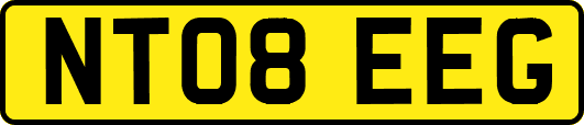 NT08EEG