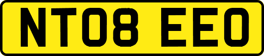 NT08EEO