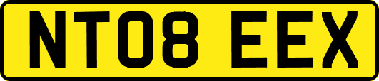 NT08EEX