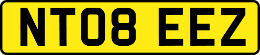 NT08EEZ