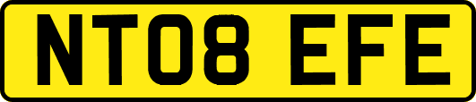 NT08EFE