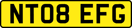 NT08EFG