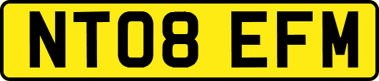 NT08EFM