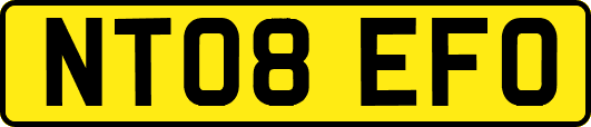NT08EFO