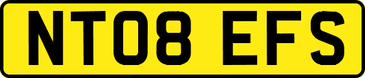 NT08EFS
