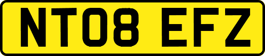 NT08EFZ