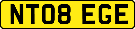 NT08EGE
