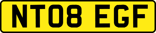 NT08EGF