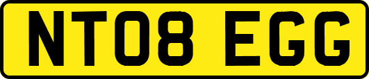 NT08EGG