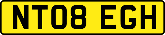 NT08EGH