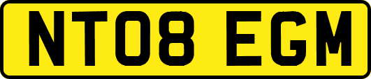 NT08EGM