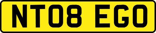 NT08EGO